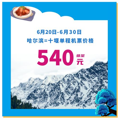 一南一北 直飞 武当山机场最新消息